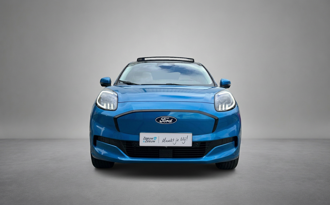 Ford - Puma Gen-e Premium 44 kWh | Driver Assistancepack | Winterpack | Matrix